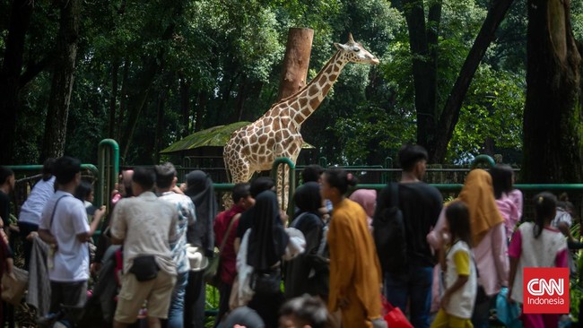 Situs News Indoesia Alternatif Informasi Berita Viral Terbaru